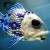Profile photo of jefferyfish