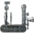 Profile photo of capsule