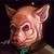 Profile photo of natxopistatxo